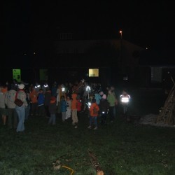 DSC 5914 - Scouts en Gidsen Zaventem 